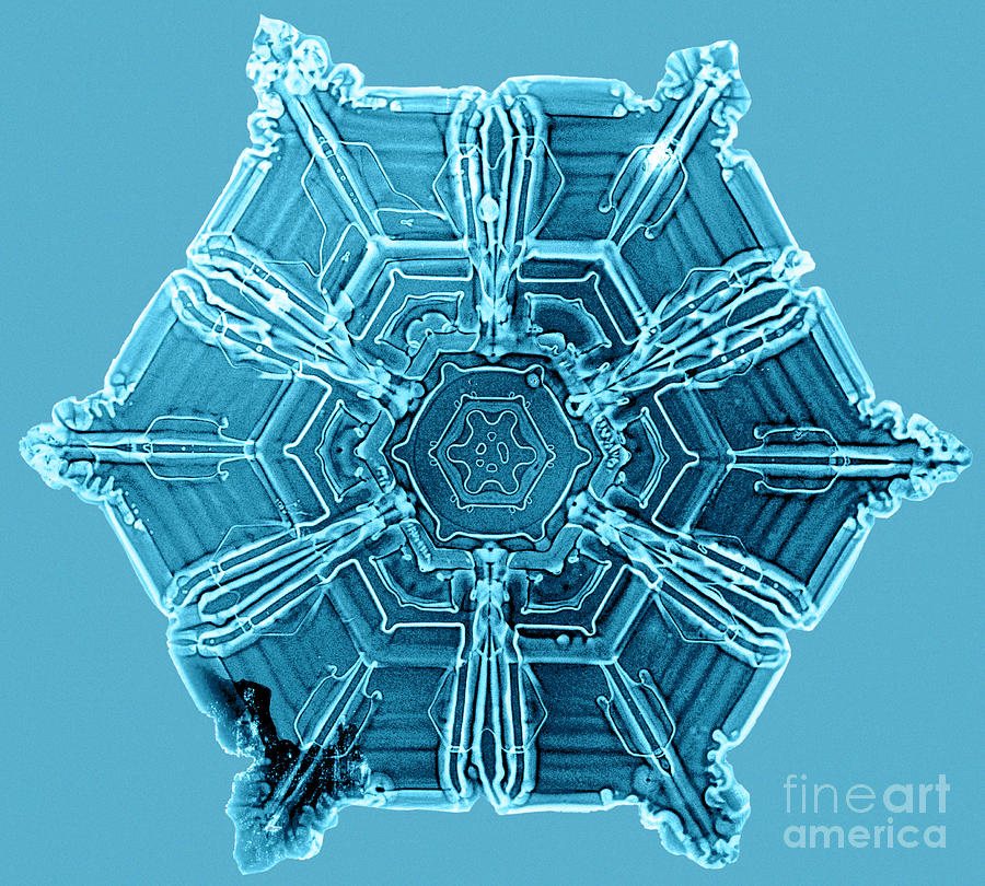 Snowflake #19 Photograph by Science Source