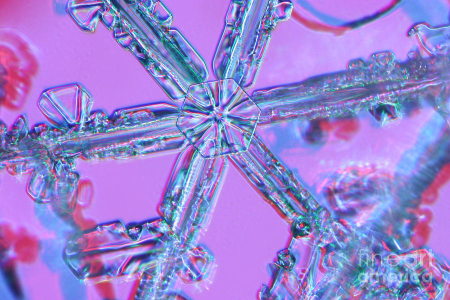 Snowflake #19 Photograph by Ted Kinsman