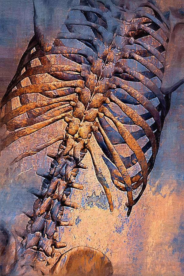 Skeleton Digital Art - Torso Skeleton #19 by Joseph Ventura