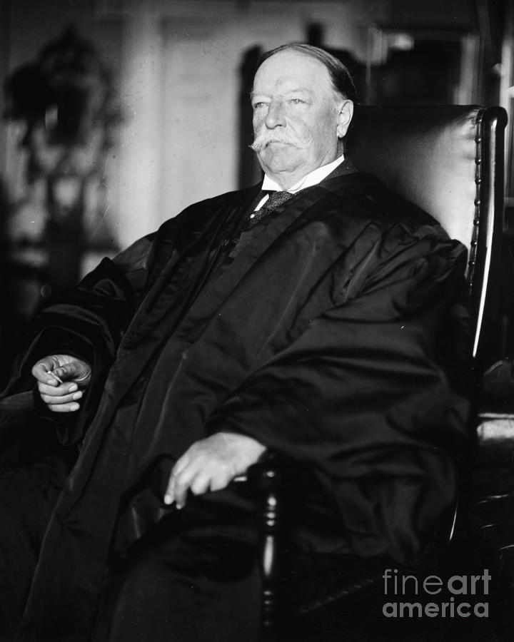Portrait Photograph - William Howard Taft #19 by Granger
