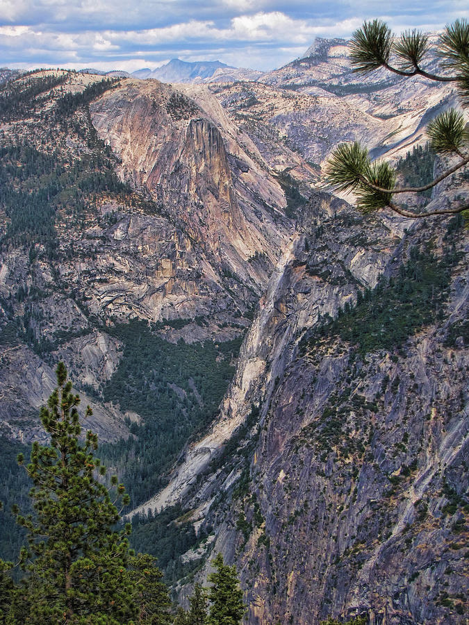 Yosemite National Park #19 Photograph by Helaine Cummins