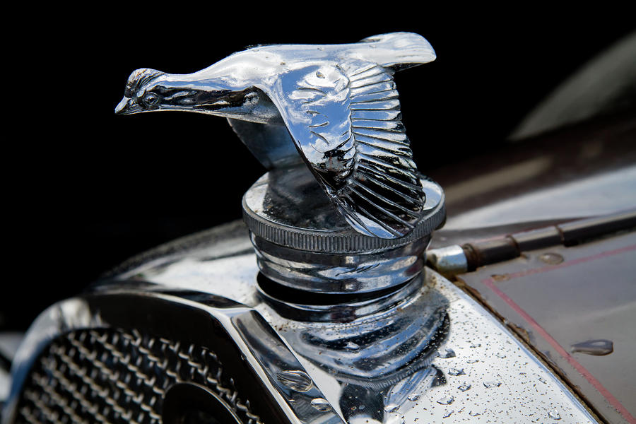 1929 Ford model a hood ornament #10