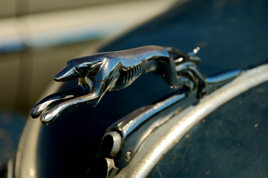 1936 Ford Hood Ornament Photograph by Mark Dodd