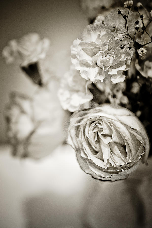Vintage Photograph - 1940s Rose by Melissa Gallo