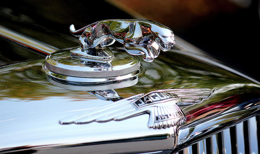 1948 Jaguar Hood Ornament Photograph by Rosanne Jordan - Fine Art America