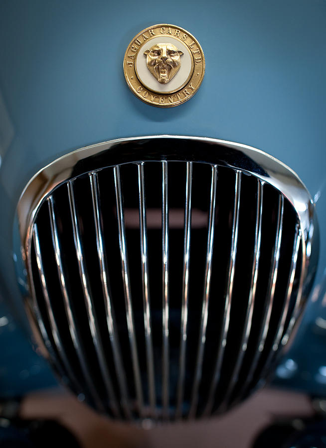 1952 Jaguar Hood Ornament and Grille Photograph by Sebastian Musial