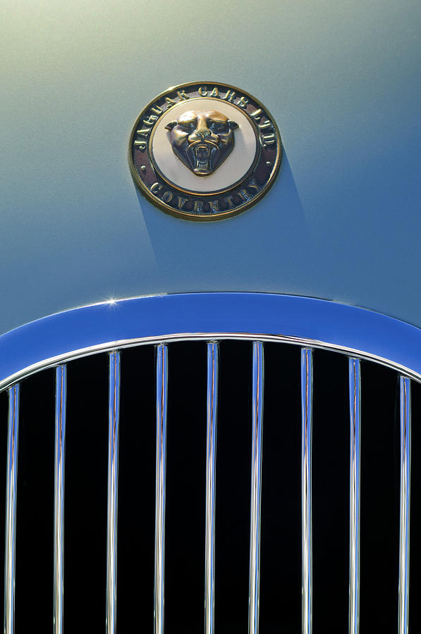 1952 Jaguar XK120 Roadster Hood Emblem Photograph by Jill Reger - Fine ...