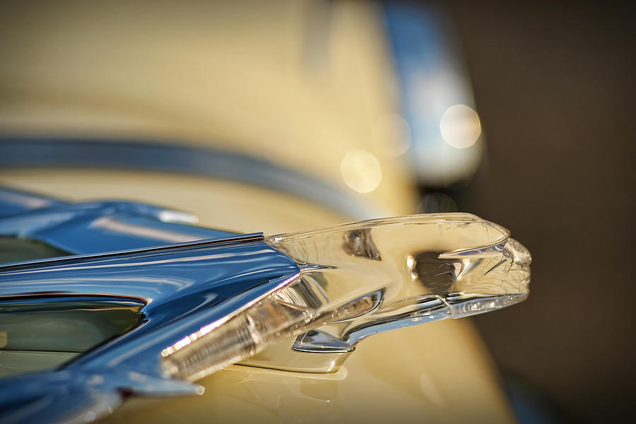 1955 Pontiac Star Chief Hood Ornament Photograph by Gordon Dean II