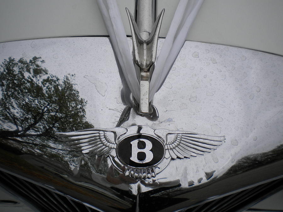 1960 Bentley hood ornament and emblem Photograph by Renate Wesley