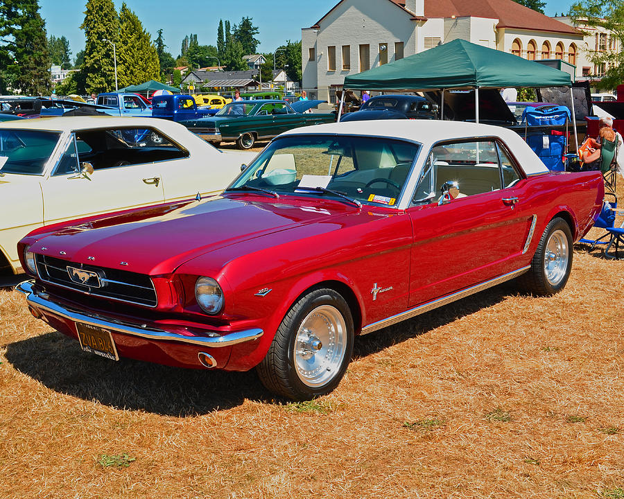 1964 Ford Mustang Photograph by Tikvahs Hope
