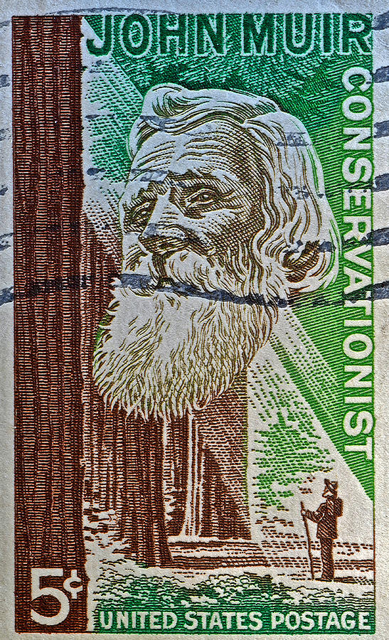 1964 John Muir Stamp Photograph