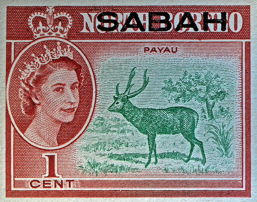 Queen Photograph - 1964 North Borneo Sabah Stamp by Bill Owen