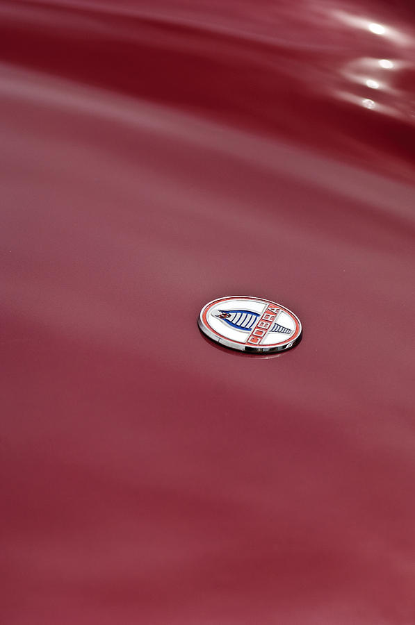 1964 Shelby 289 Cobra Hood Emblem Photograph by Jill Reger