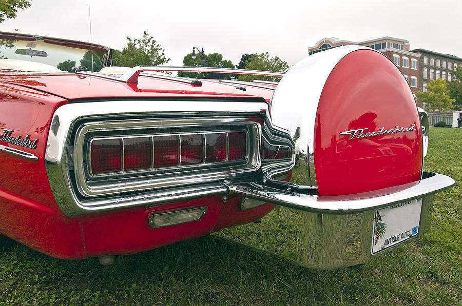 Car Photograph - 1965 Ford Thunderbird Back by Glenn Gordon