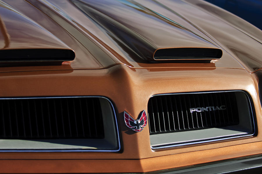 1974 Pontiac Firebird Grille Emblem Photograph by Jill Reger