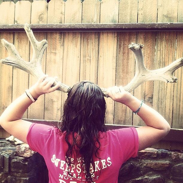 Antlers Photograph - 1.audrey Hepburn Is My Inspiration 2. I by Abbie Billingsley