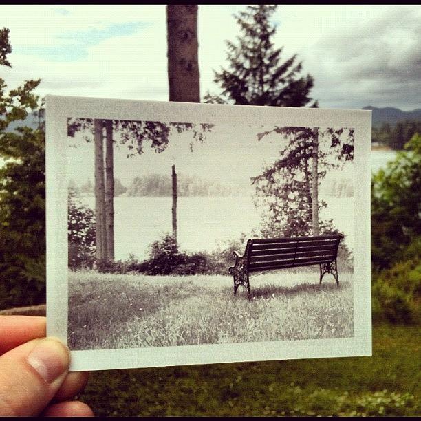 1st Polaroid Through A Super Speed Photograph by Meg Oram