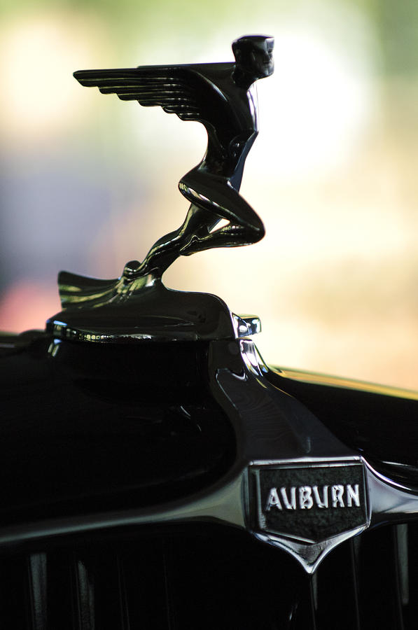 1932 Auburn 12-160 Speedster Hood Ornament  #2 Photograph by Jill Reger