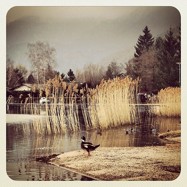 Beautiful Photograph - A Cloudy Day by Luisa Azzolini Beautiful Photograph - A Cloudy Day by Luisa Azzolini