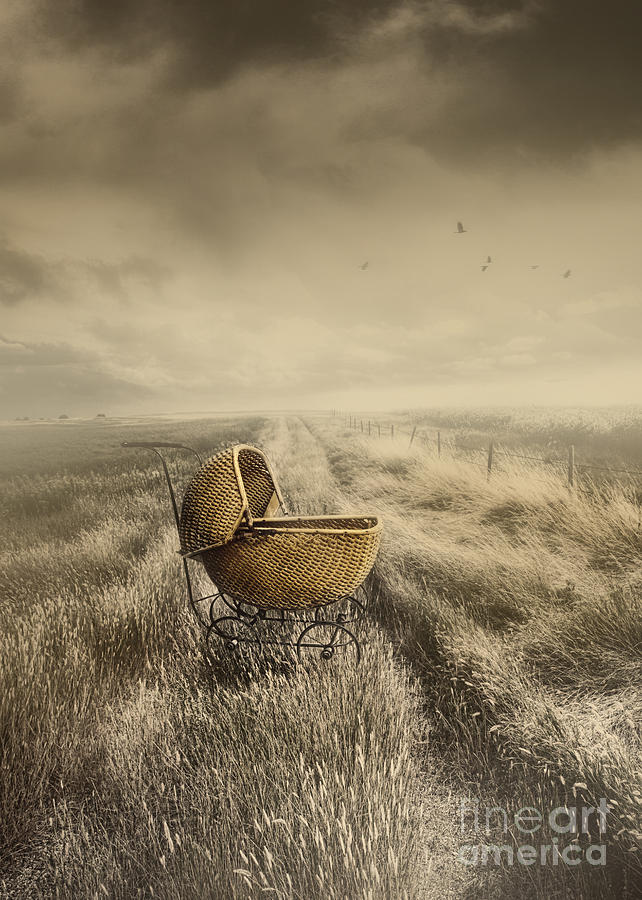 Abandoned antique baby carriage in field #2 Photograph by Sandra Cunningham