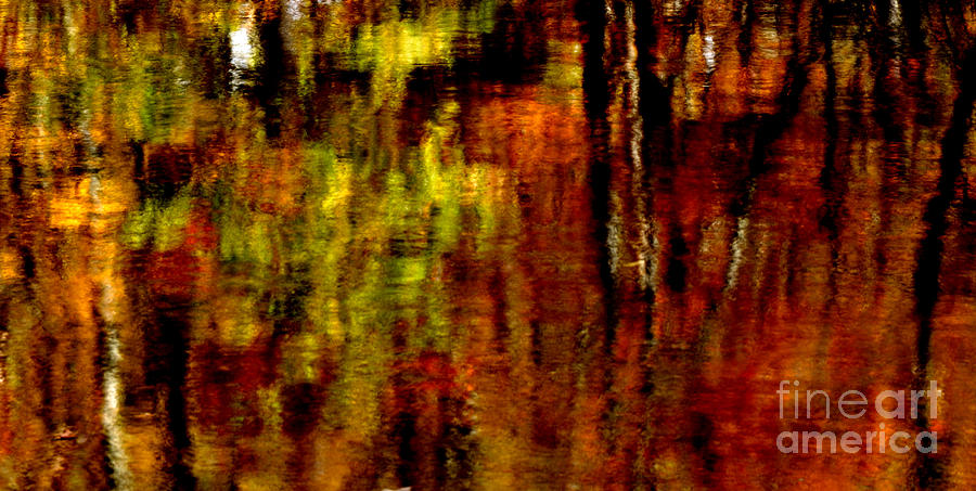 Abstract Photograph - Abstract Babcock State Park #2 by Thomas R Fletcher