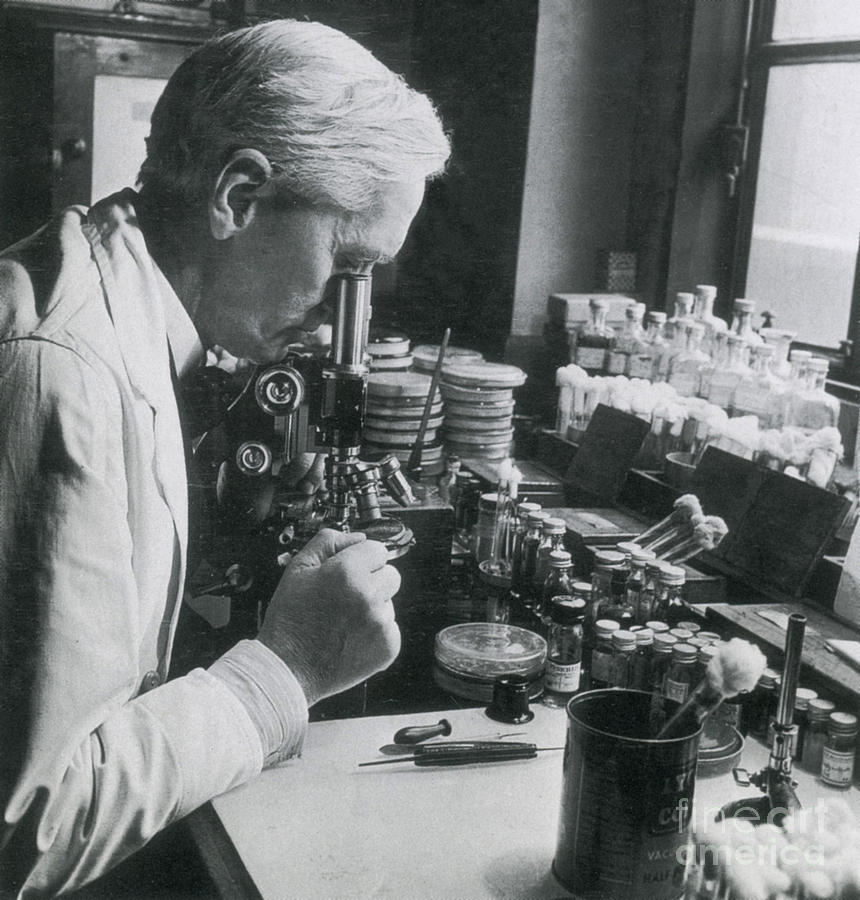 Alexander Fleming, Scottish Biologist #2 Photograph by Science Source