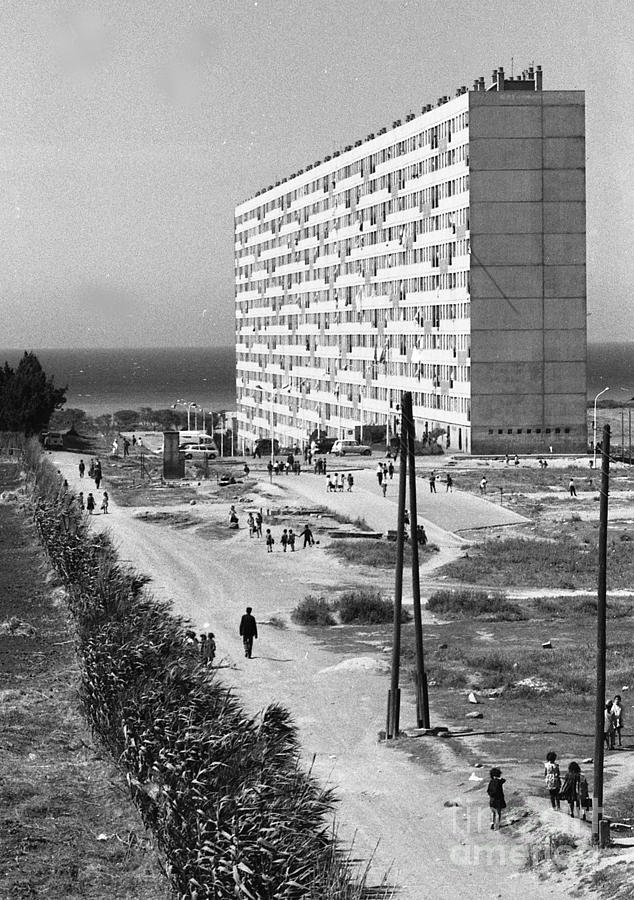 Algeria 1969 #2 Photograph by Erik Falkensteen