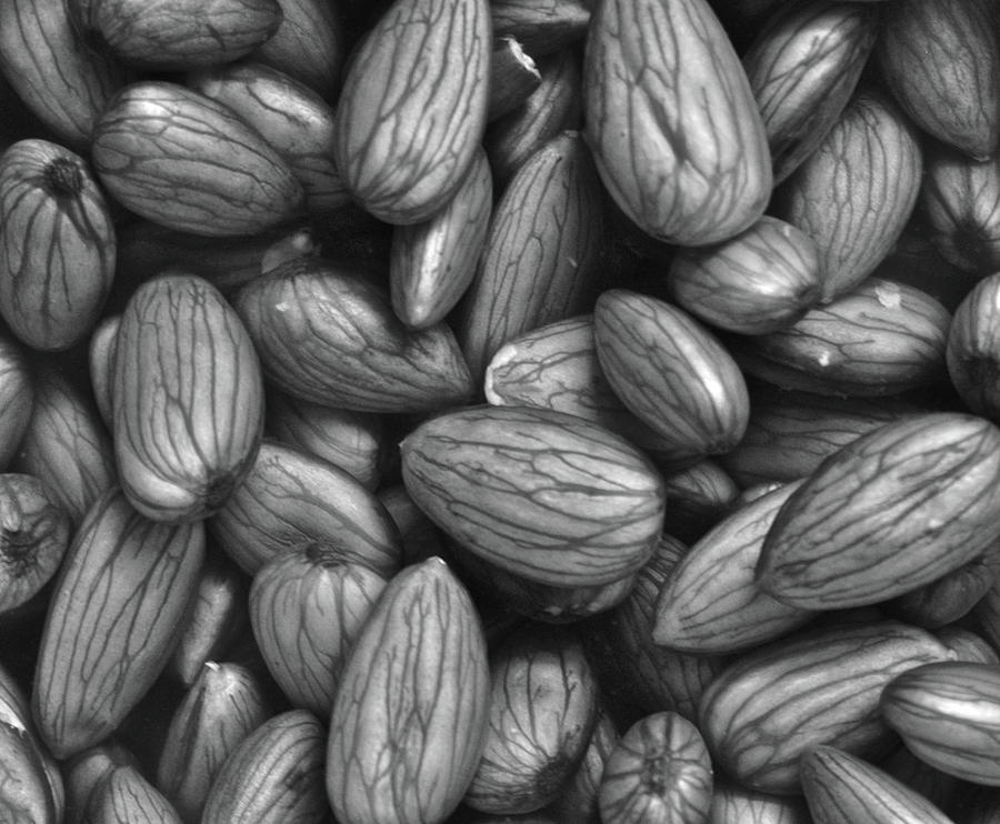 Almonds in H2O #3 Photograph by Henri Irizarri