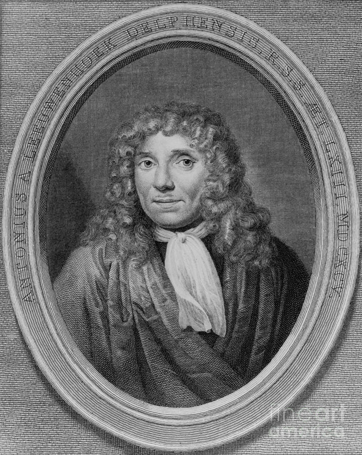 Anton Van Leeuwenhoek, Dutch #2 Photograph by Science Source