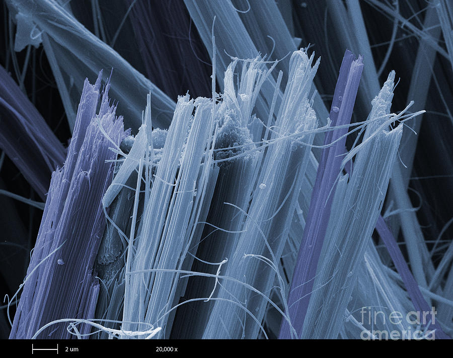 Asbestos Fibers Photograph - Asbestos, Sem #2 by Ted Kinsman