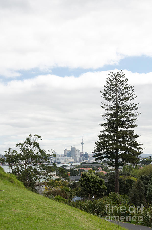 Auckland City New Zealand #2 Photograph by Yurix Sardinelly