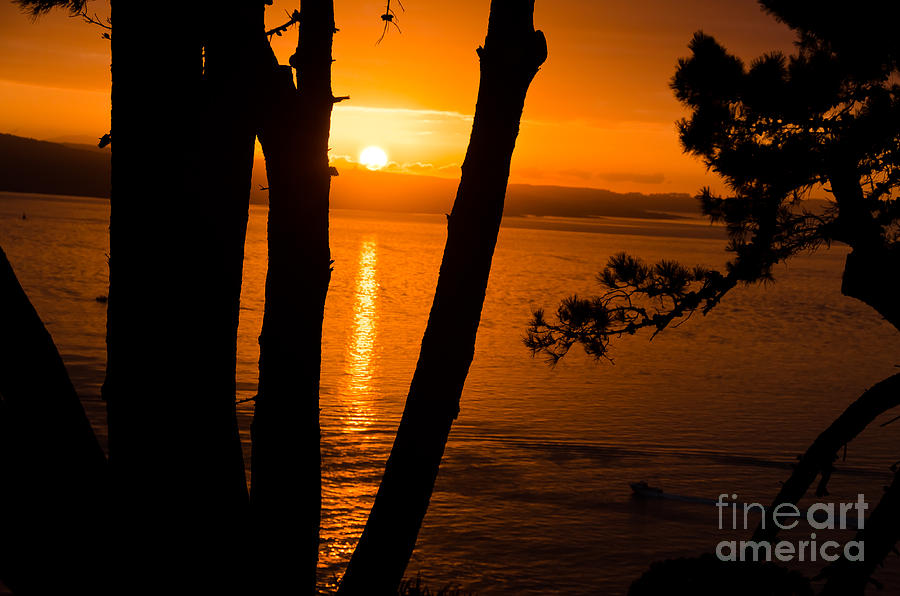 Auckland Sunrise #2 Photograph by Yurix Sardinelly