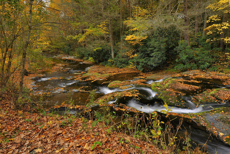 Autumn Along Dingmans Creek Photograph by Stephen Vecchiotti