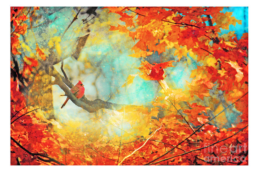 Autumn Cardinal Mixed Media by Gina Signore