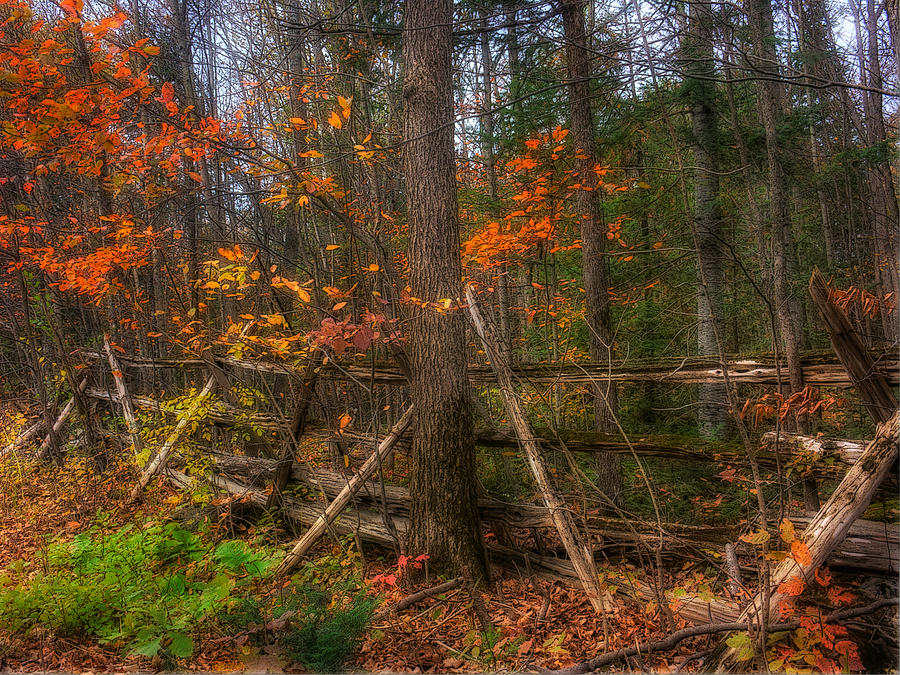 Nature Photograph - Autumn Fence #2 by John Herzog