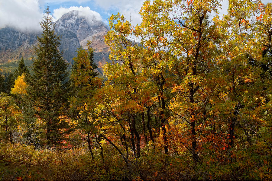 Autumn in the Wasatch Mountains #2 Photograph by Douglas Pulsipher