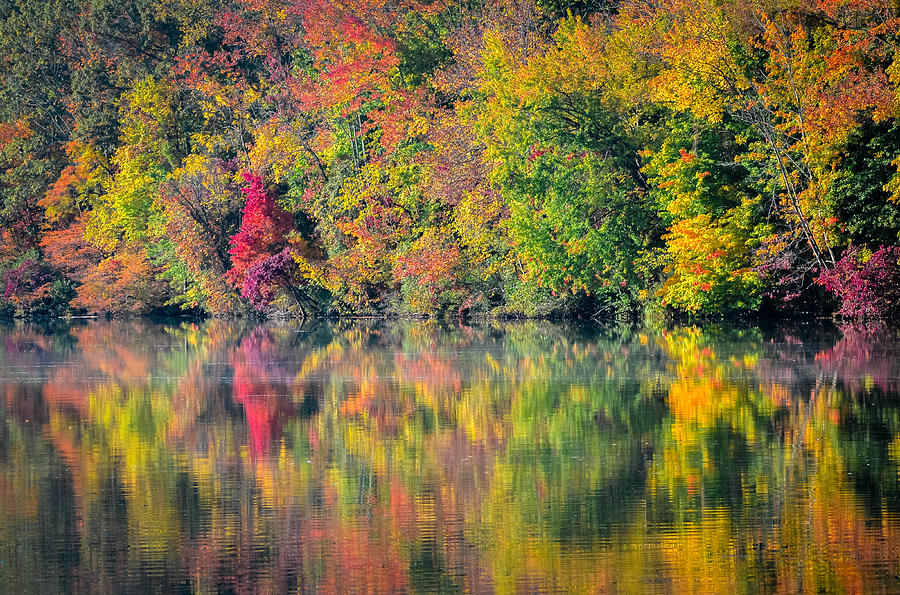 Autumn Reflections #2 Photograph by Brian Stevens