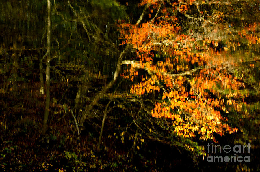 Autumn Reflections #2 Photograph by Thomas R Fletcher