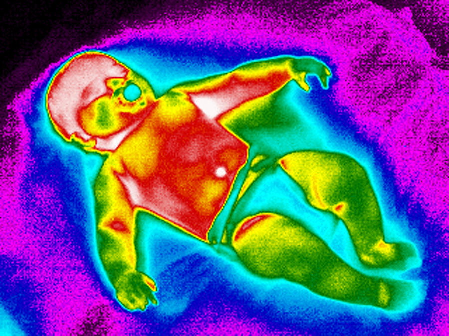 Baby Photograph - Baby, Thermogram #2 by Tony Mcconnell
