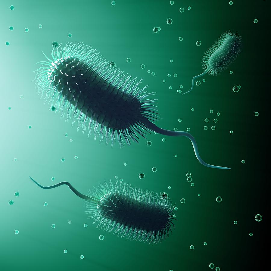 Bacteria, Artwork #2 Digital Art by Andrzej Wojcicki