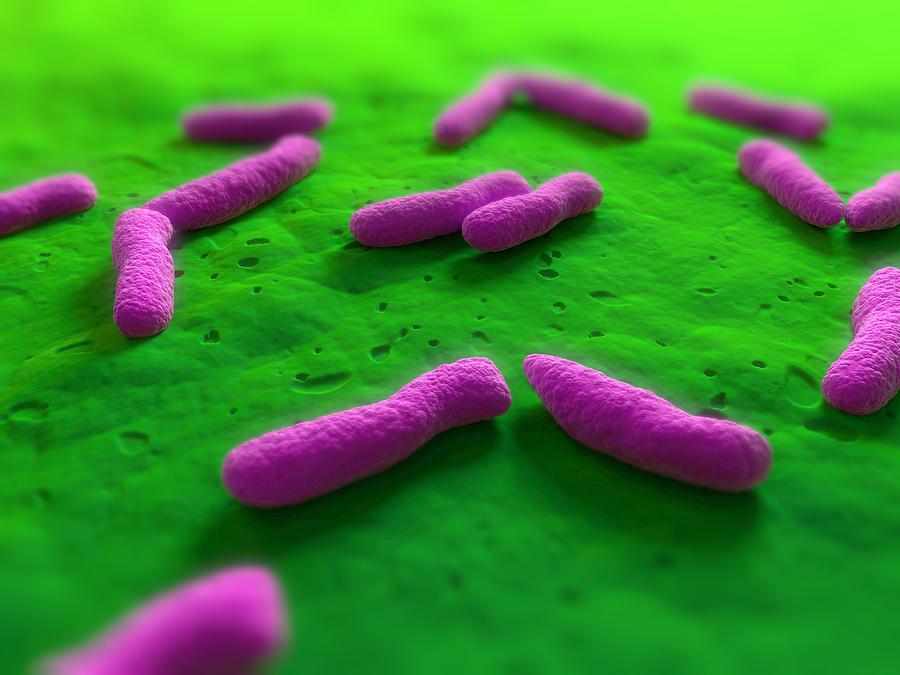 Science Photo Library Bacterias Bacteria, Conceptual Artwork #2 by Science Photo Library