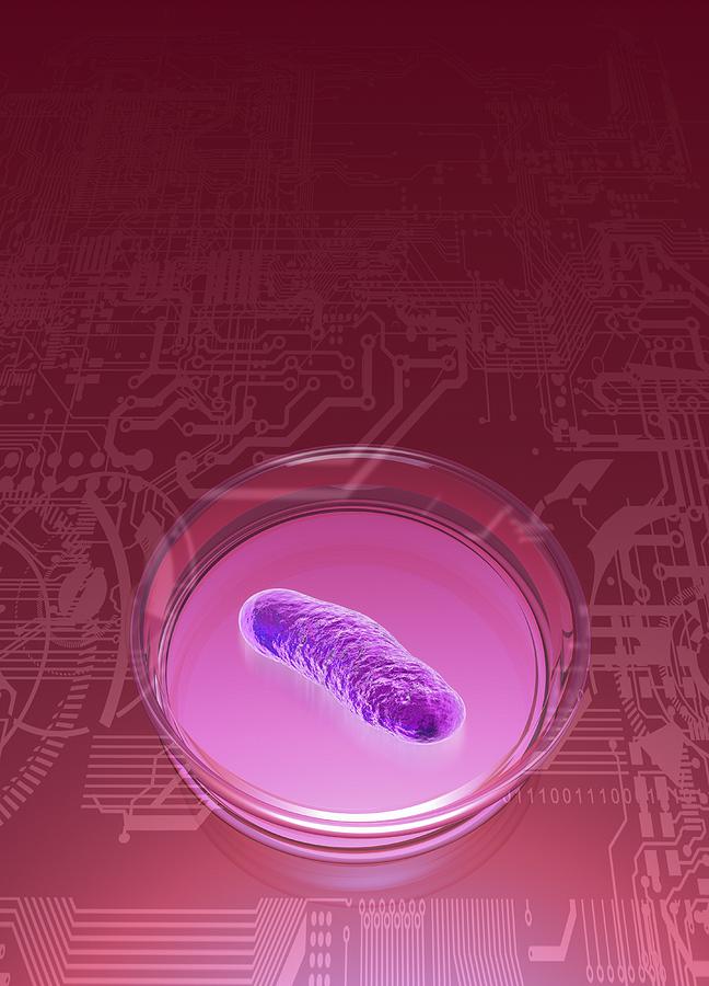 Vertical Digital Art - Bacterial Research, Conceptual Artwork #2 by Victor Habbick Visions