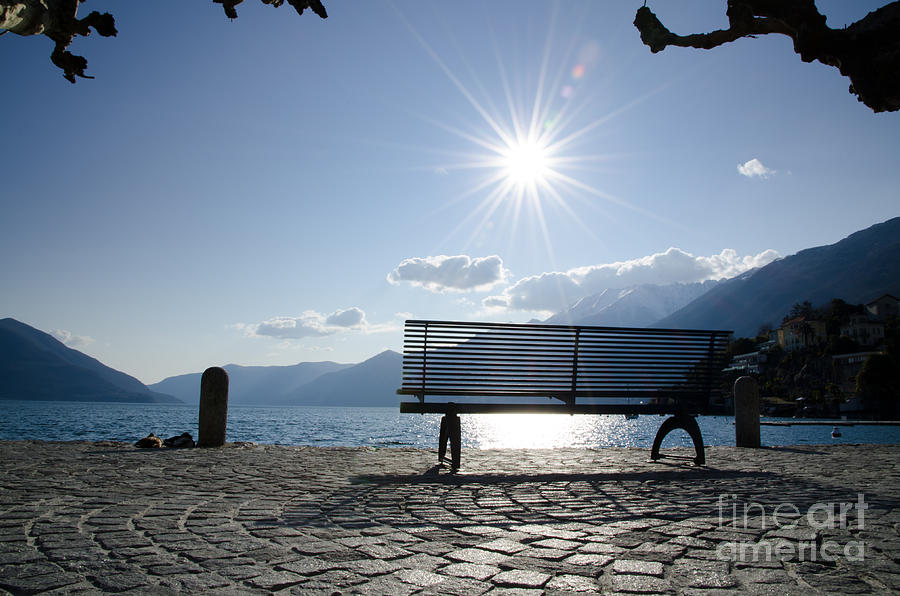 Bench in backlight Photograph by Mats Silvan Fine Art America