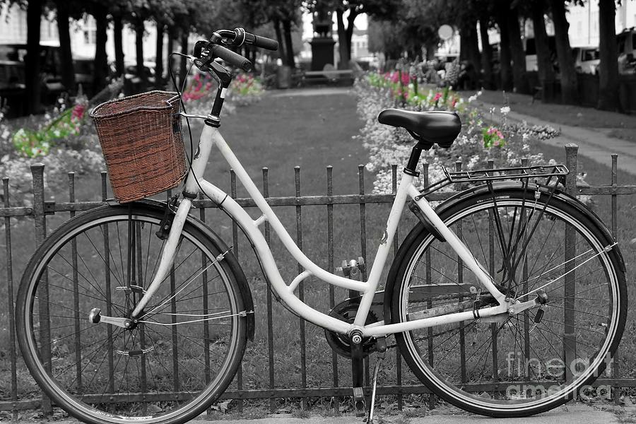 Flower Photograph - Bicycle and Flowers #2 by Sophie Vigneault