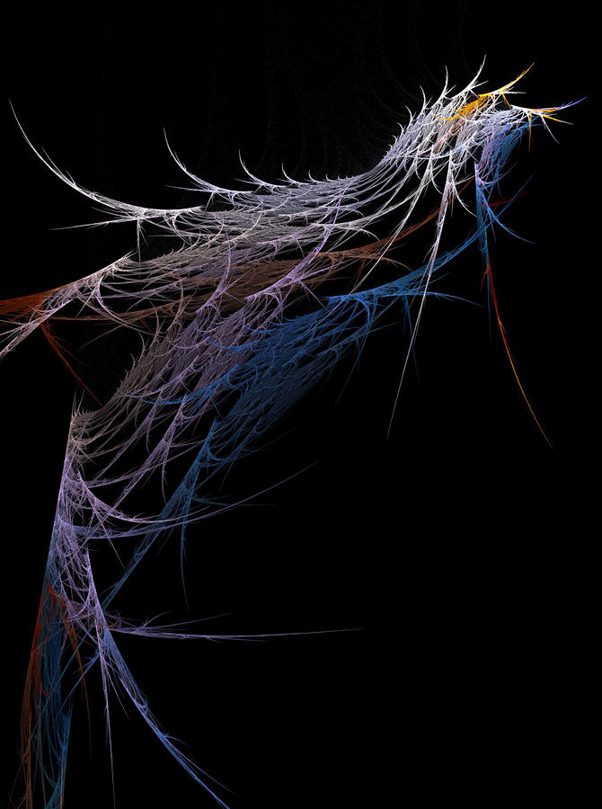 Bird #2 Digital Art by Michele Caporaso