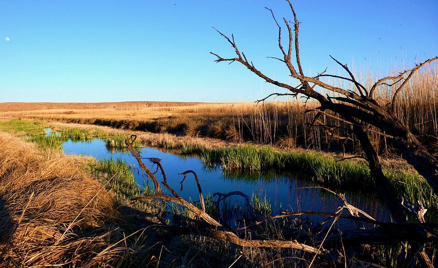 Bitter Lake National Wildlife Refuge by Mark Bell