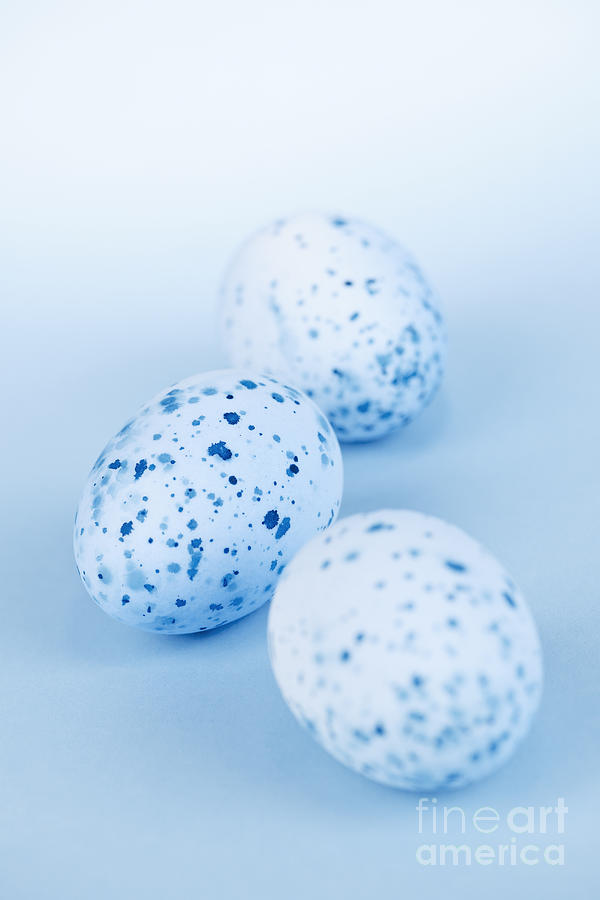 Easter Photograph - Blue Easter eggs 1 by Elena Elisseeva