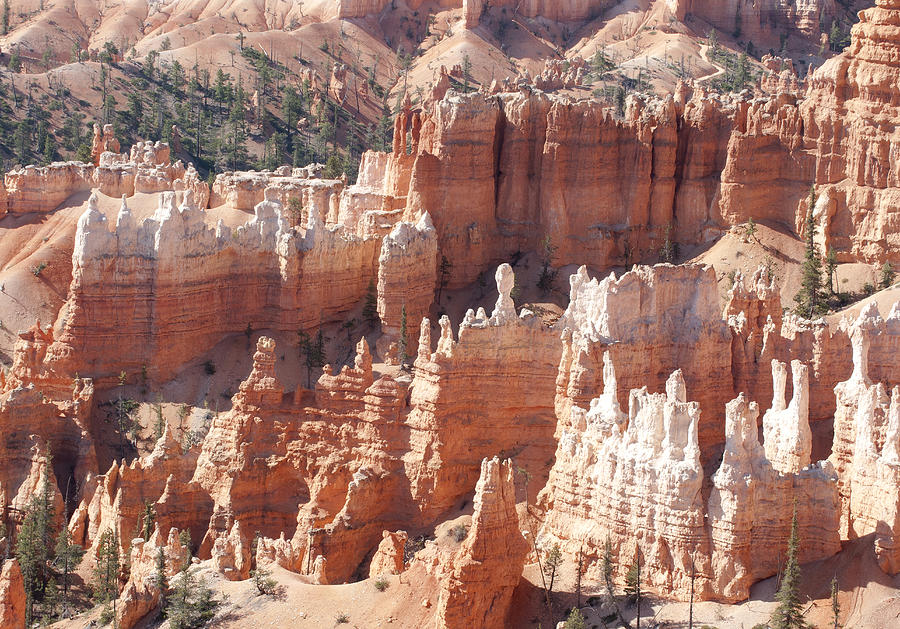 Bryce Canyon #2 Photograph by Betty Depee