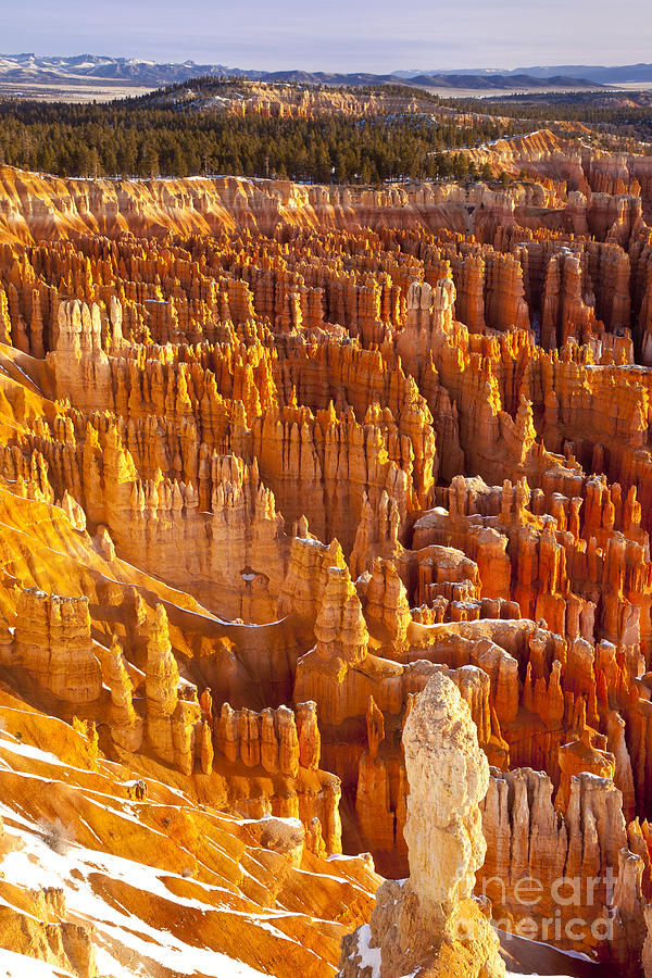 Bryce Canyon III Photograph by Brian Jannsen