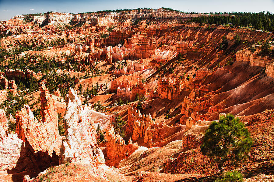 Bryce Canyon #2 Photograph by Jay Seeley